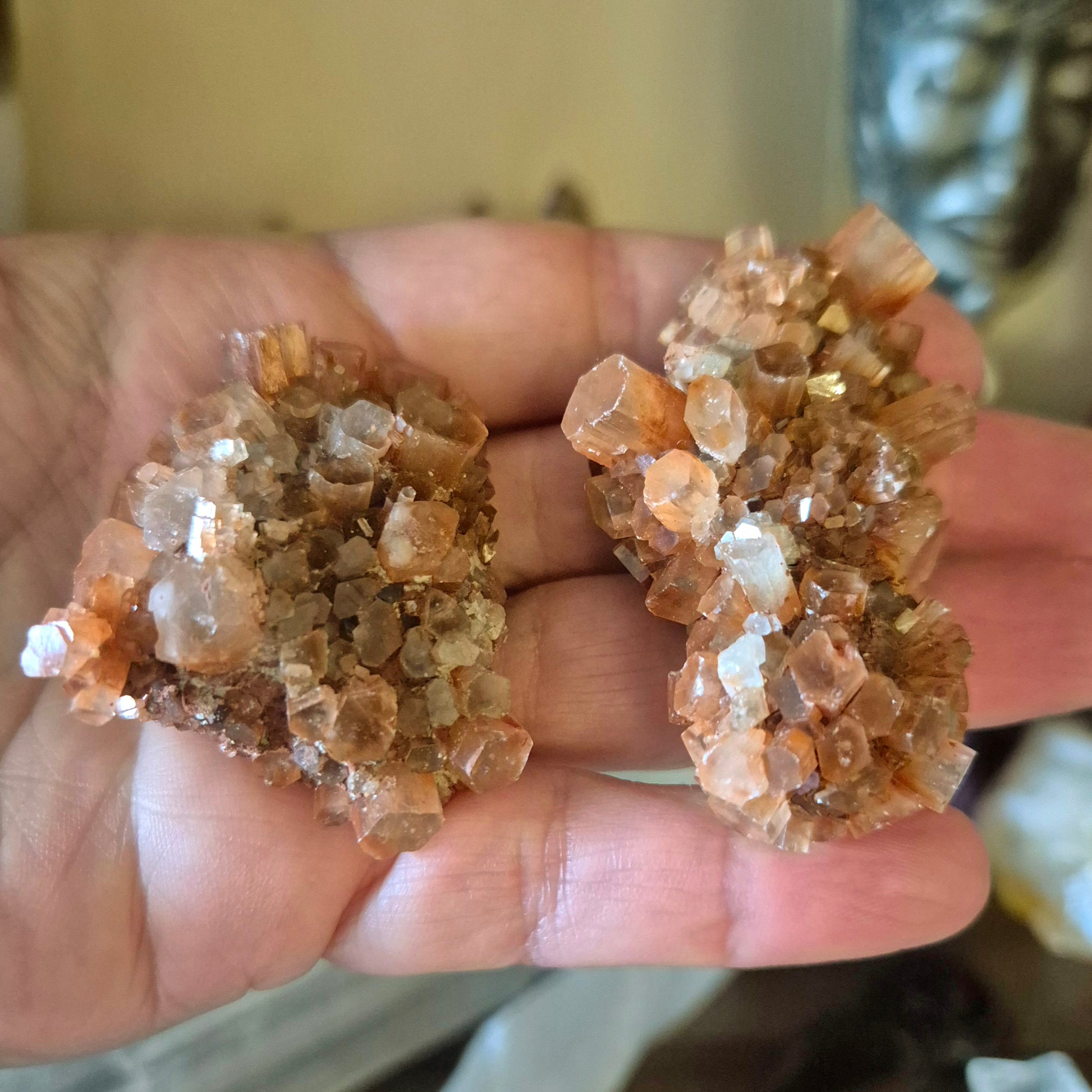 A person holding a cluster of aragonite crystals in their hand.