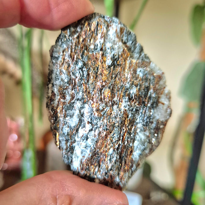 A close-up of a raw, multicolored astrophyllite stone held in a person's hand.