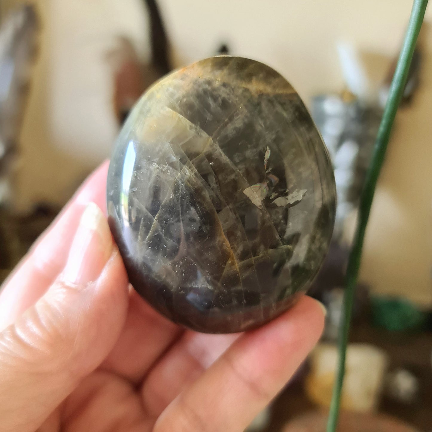 A hand holding a polished black moonstone palm stone with a smooth surface.