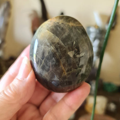 A hand holding a polished black moonstone palm stone with a smooth surface.