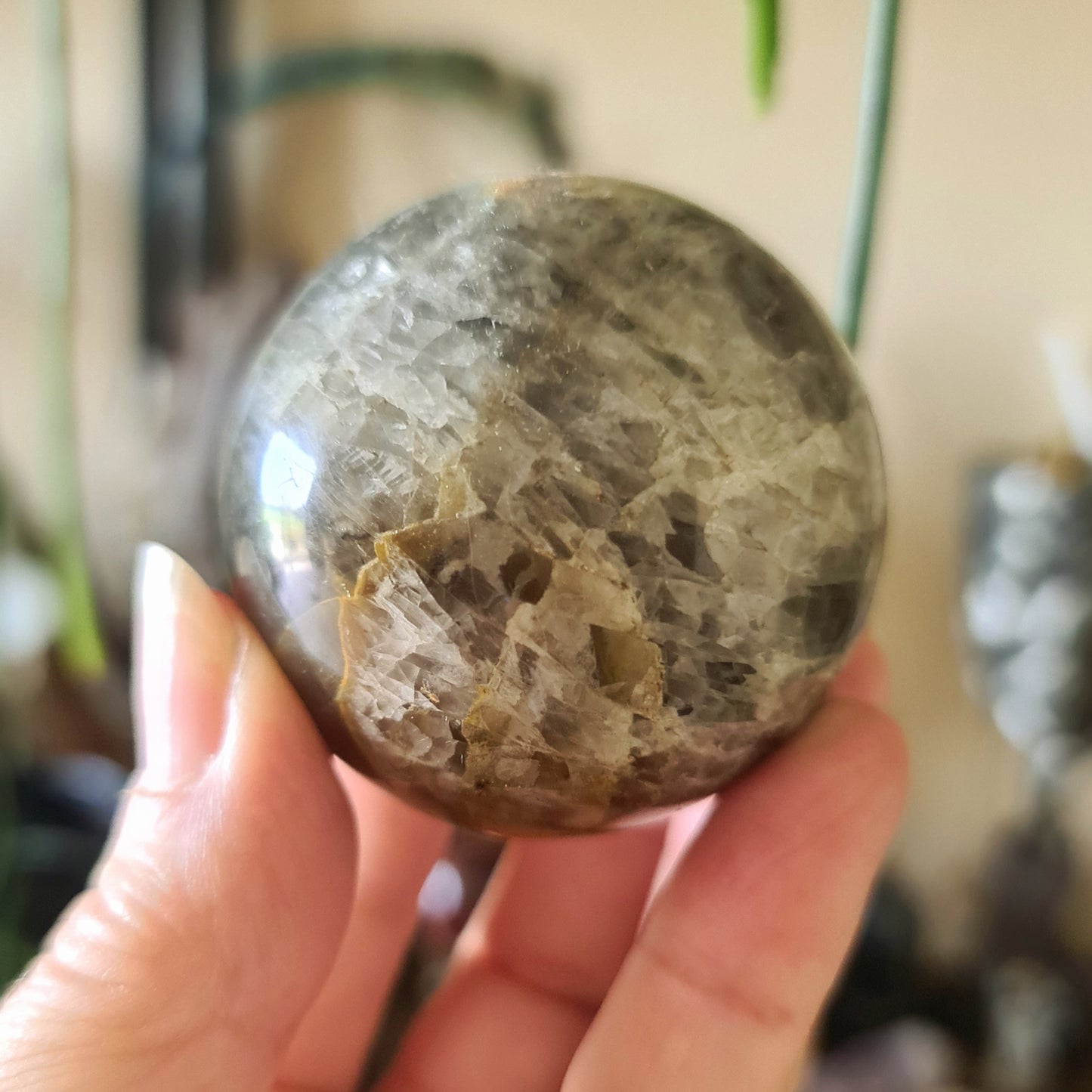 A polished Black Moonstone sphere held in a person's hand, with a blurred background suggesting a focus on the crystal.