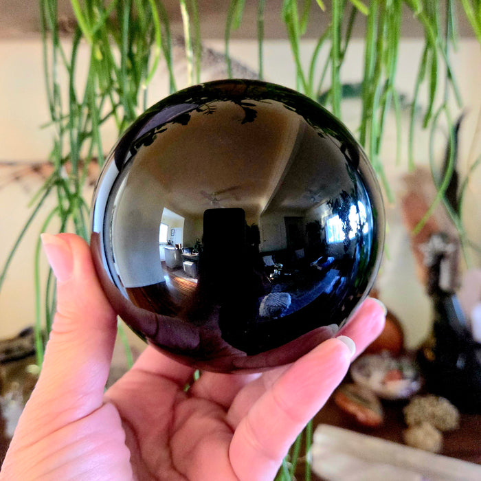 Person holding a black crystal ball with indoor plants in the background