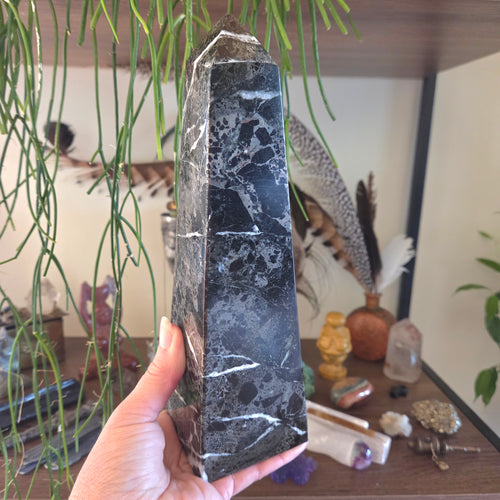 Person holding a tall, dark-colored crystal obelisk in a room with plants and decorative items.