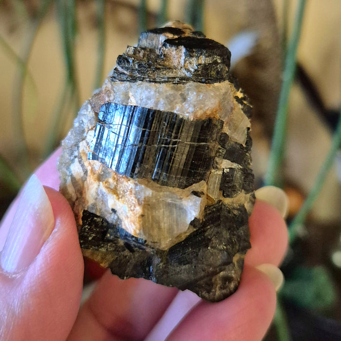 A close-up image of a black tourmaline quartz specimen with visible natural mineral patterns.
