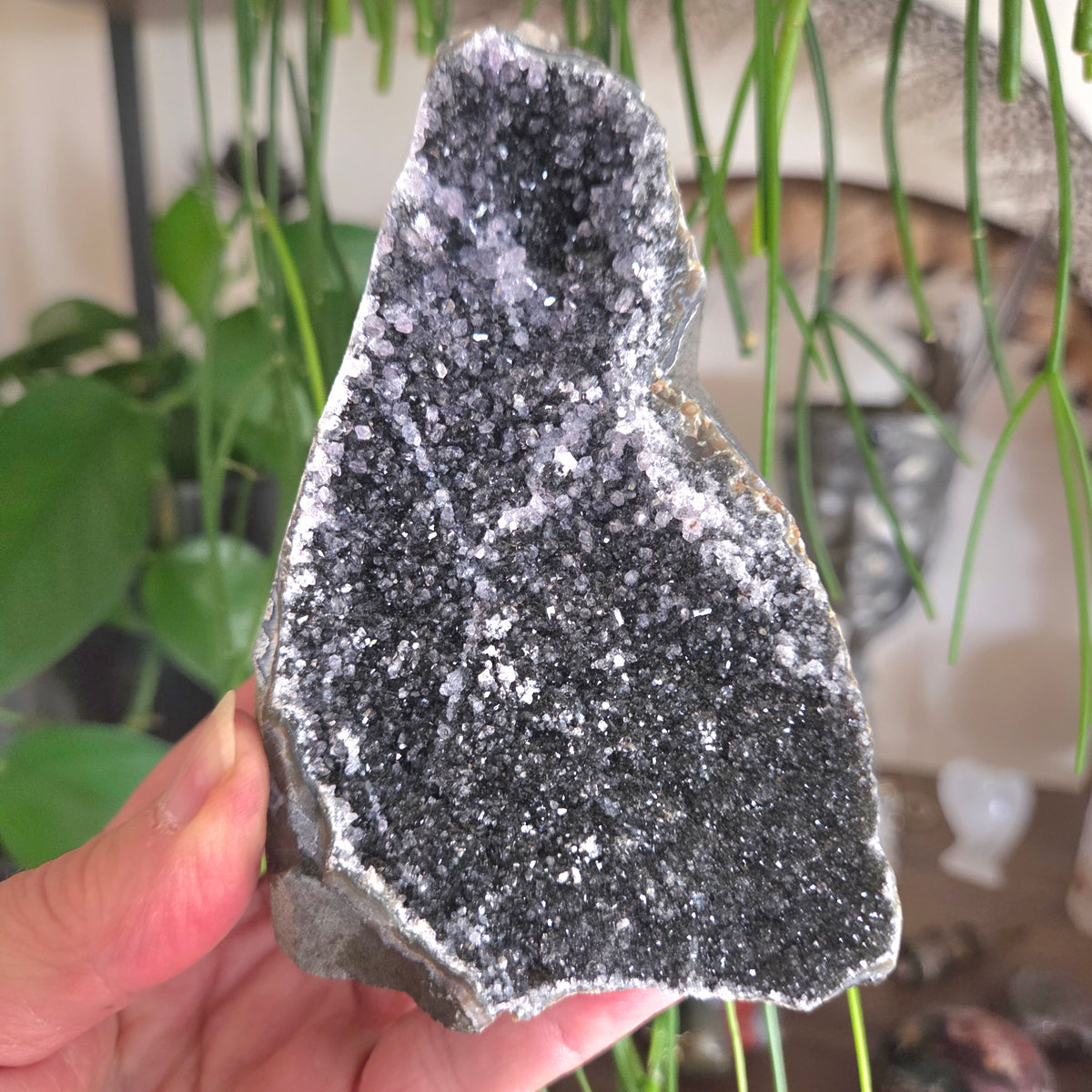 Black Amethyst Cluster Geode