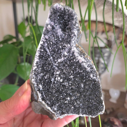 Black Amethyst Cluster Geode