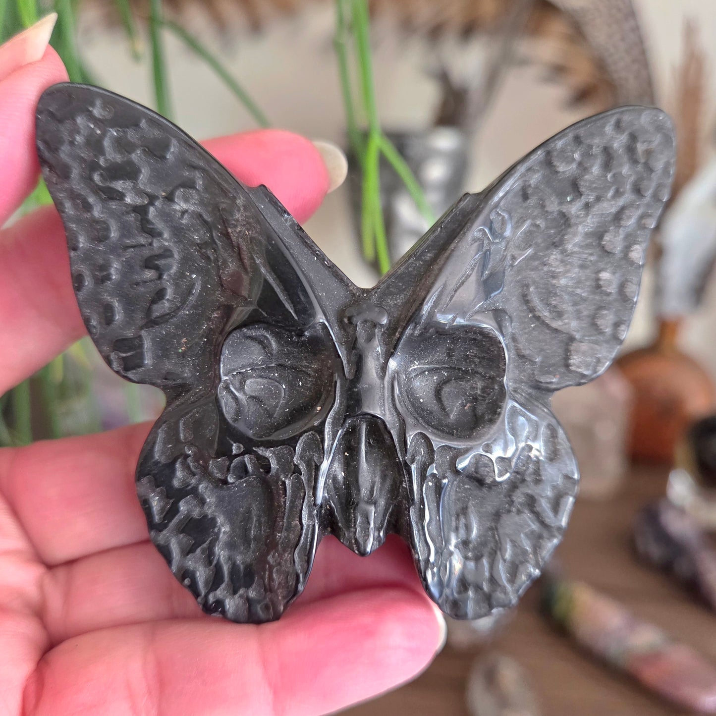 Black Obsidian Skull Moth