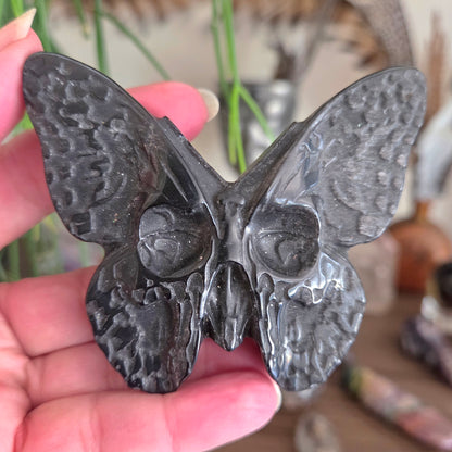 Black Obsidian Skull Moth
