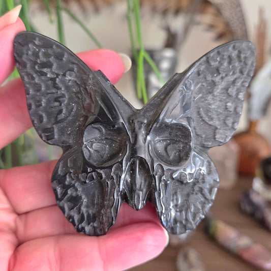 Black Obsidian Skull Moth