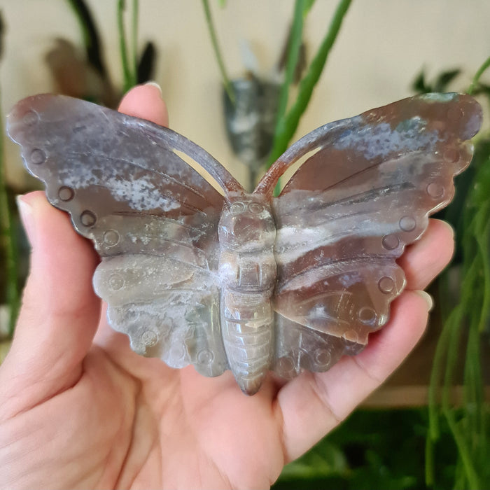 A bloodstone butterfly figure held in a person's hand, with a plant in the background.