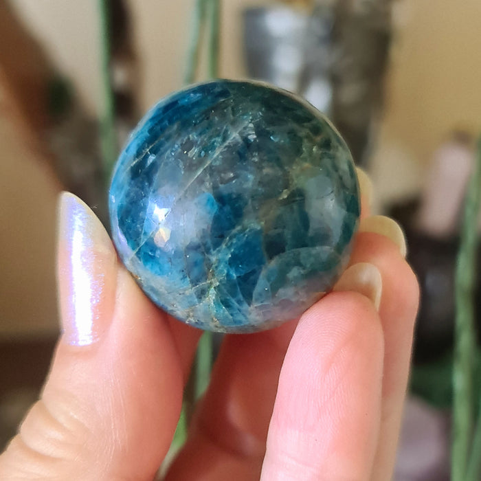 A hand holding a blue Apatite sphere with a rough, natural finish.