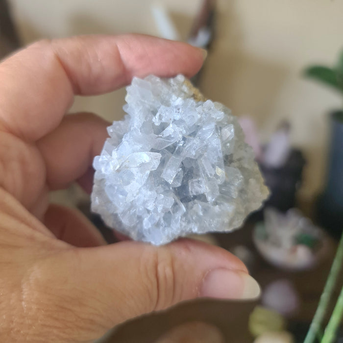 Blue Celestite Cluster