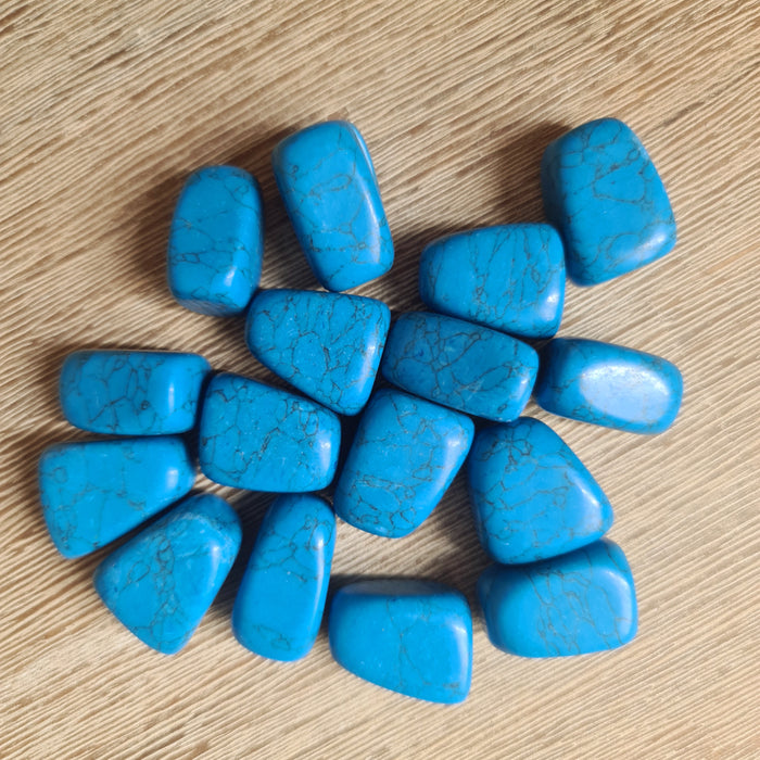Blue Howlite Tumbles