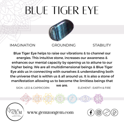 Blue Tiger Eye Palm