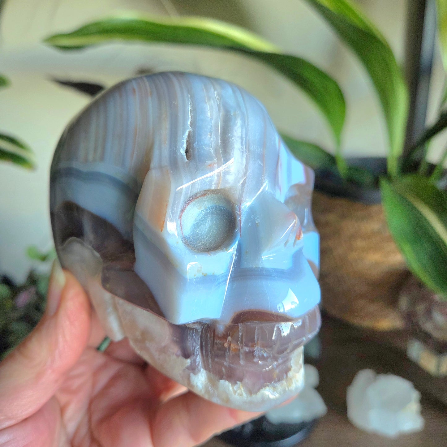 Blue Lace & Flower Agate Skull 1.01Kg