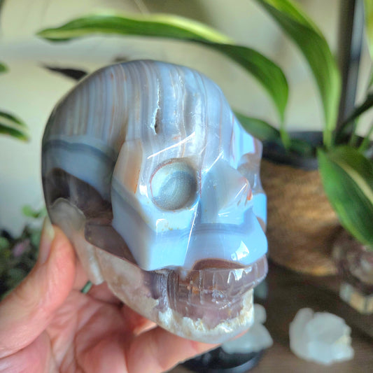 Blue Lace & Flower Agate Skull 1.01Kg