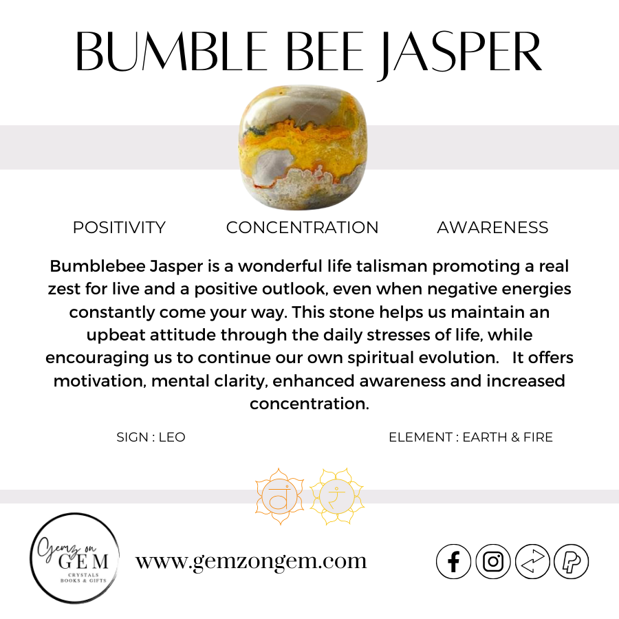 Bumblebee Jasper Turtle Lamp