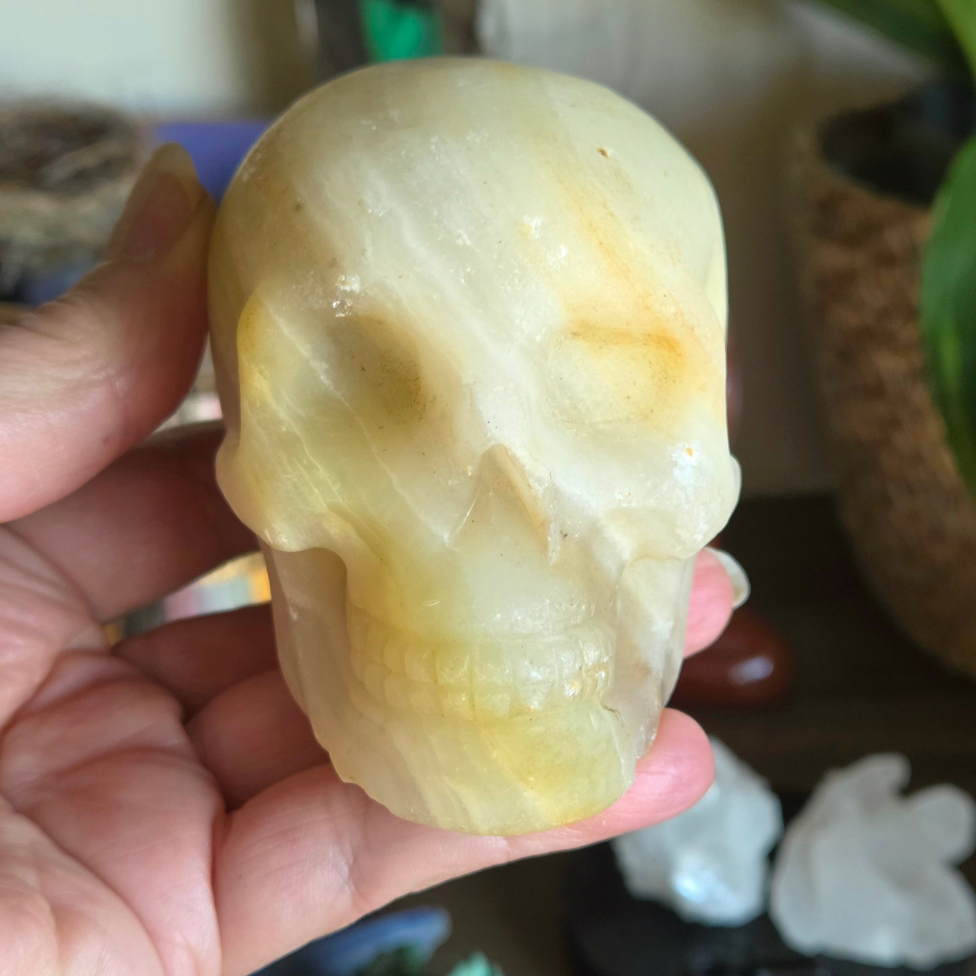 Hand holding a crystal skull with a blurred background