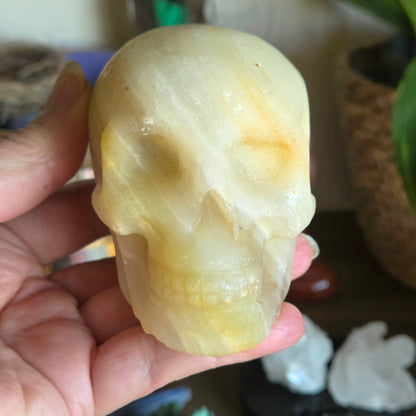 Hand holding a crystal skull with a blurred background