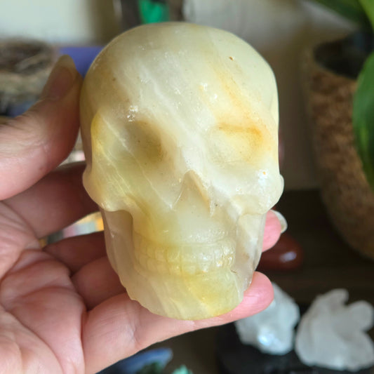 Hand holding a crystal skull with a blurred background