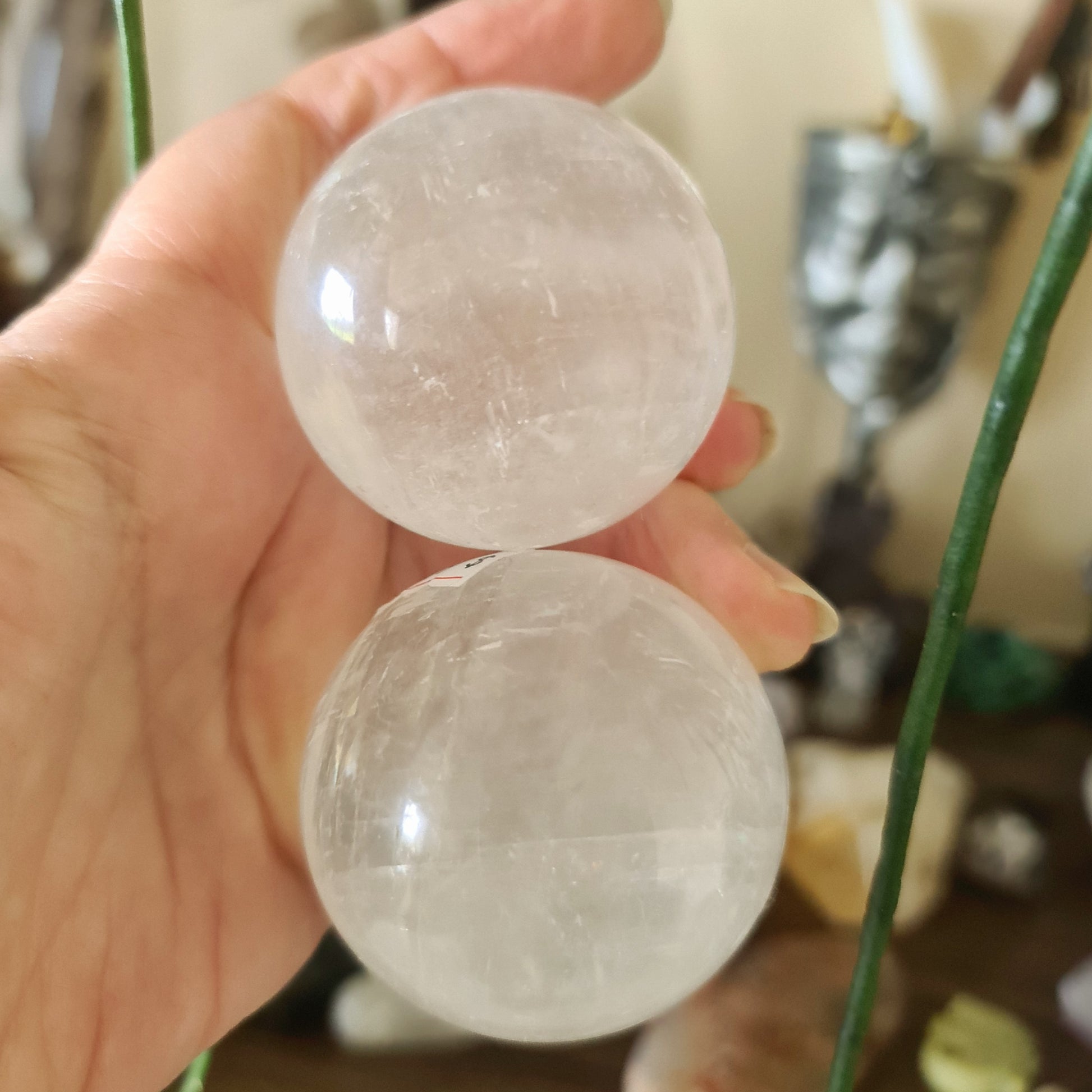 Two polished white calcite spheres held in a person's hand, with a blurred background suggesting a indoor setting, possibly a home or store display.