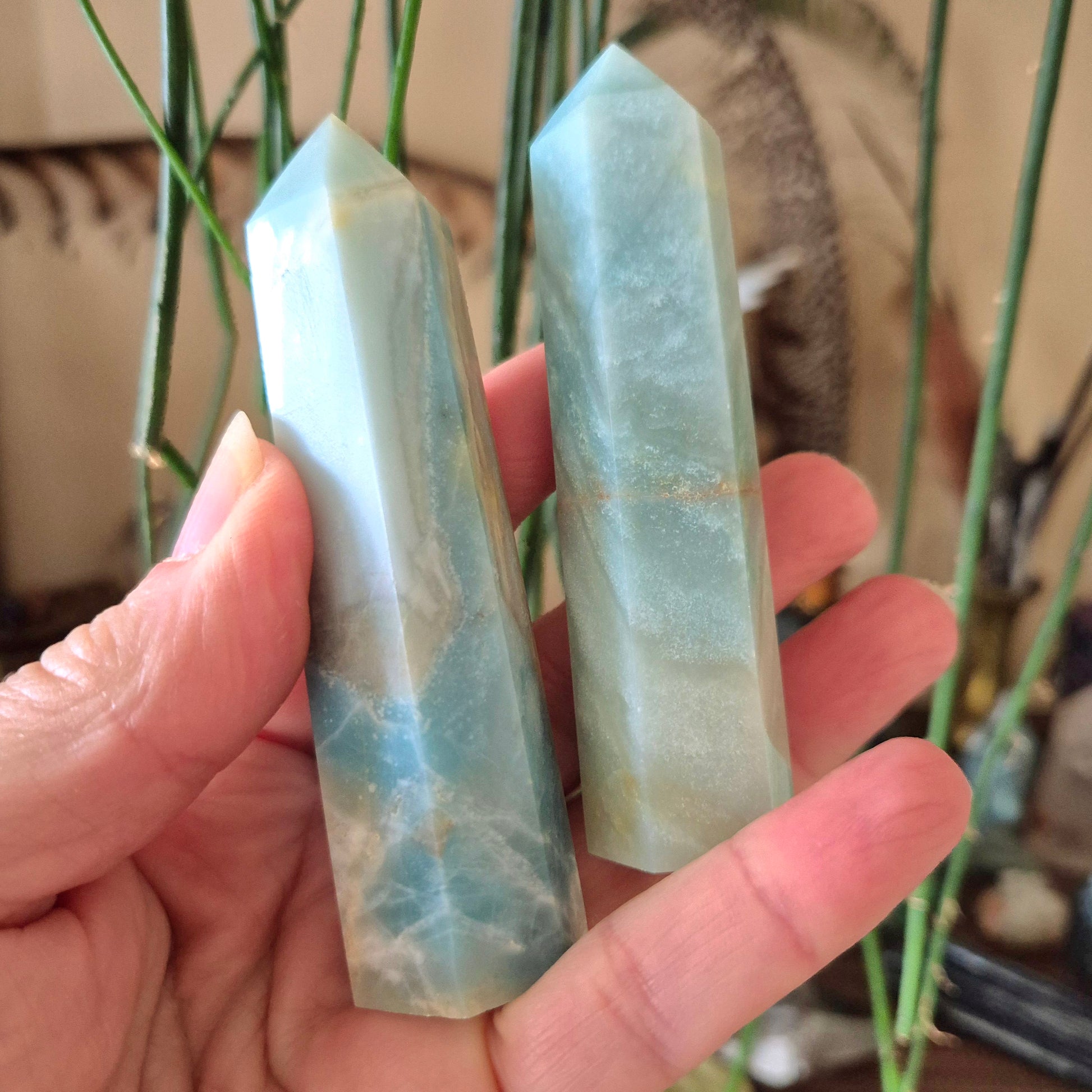 Two polished Caribbean Calcite Points held in a person's hand, with a plant in the background.
