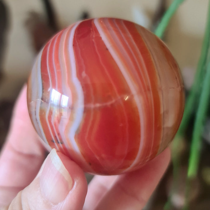 red carnelian crystal sphere held in a hand