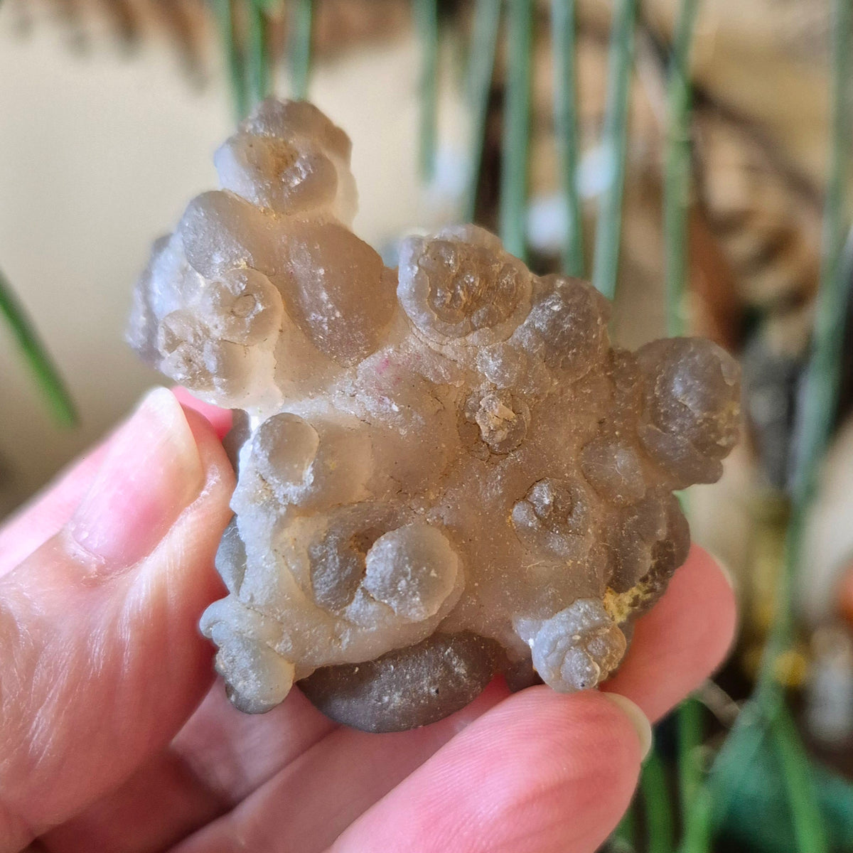 A close-up image of a person holding a polished chalcedony gemstone with a rough, natural surface.