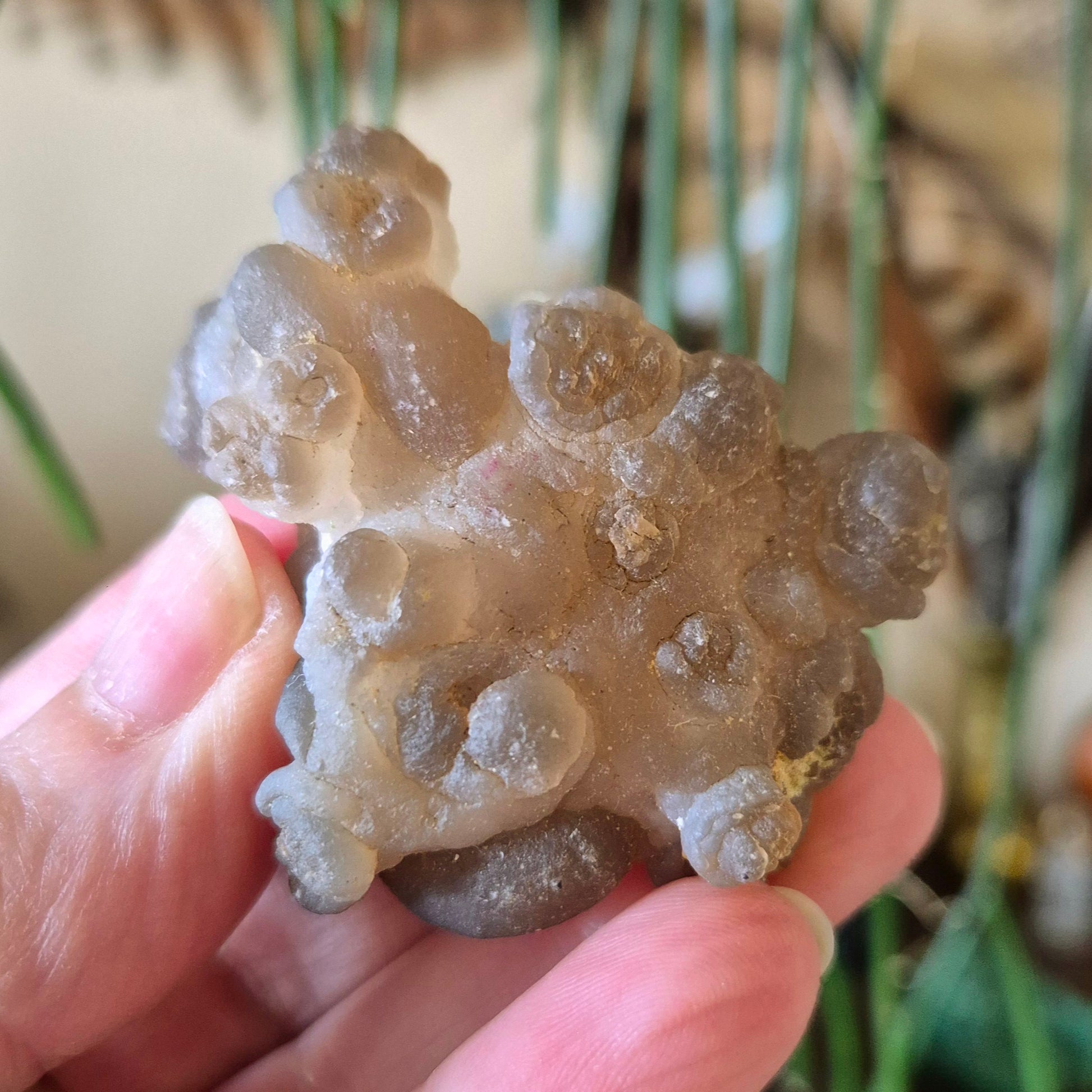 A close-up image of a person holding a polished chalcedony gemstone with a rough, natural surface.