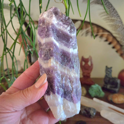 Person holding a purple crystal with a blurred background of decorative items