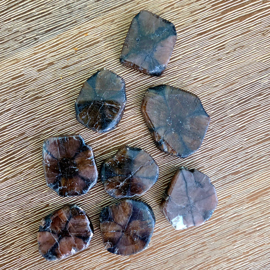 Hexagonal brown stones on a wooden surface