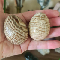 Two polished Chocolate Calcite eggs held in a person's hand, displaying brown and beige swirls on a white background.