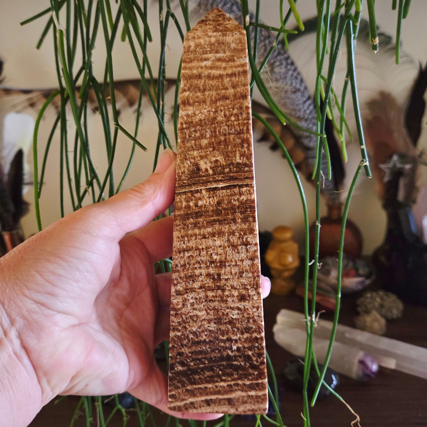 A hand holding a chocolate calcite obelisk tower with a plant in the background.