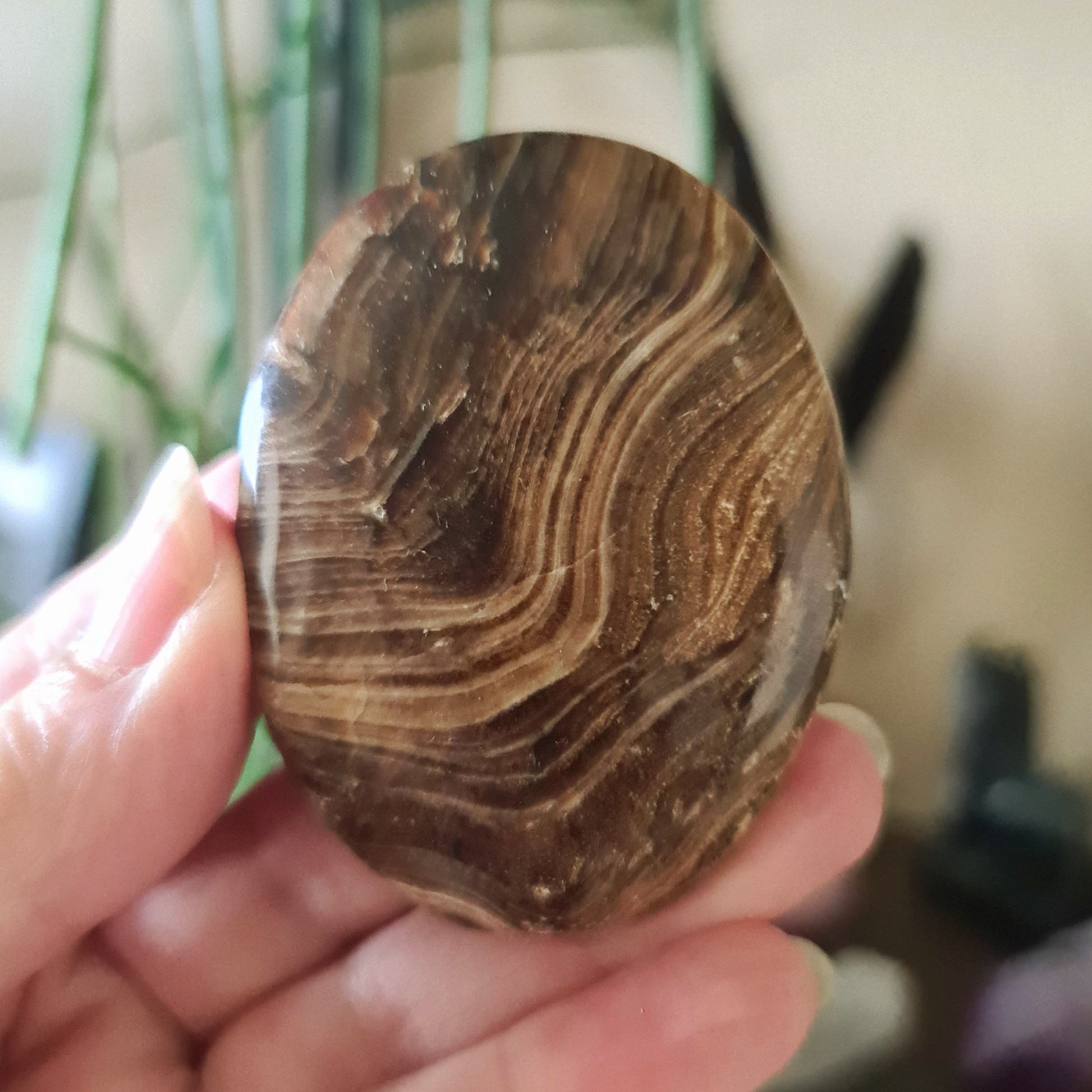 A hand holding a polished Chocolate Calcite palm stone with brown and white swirls