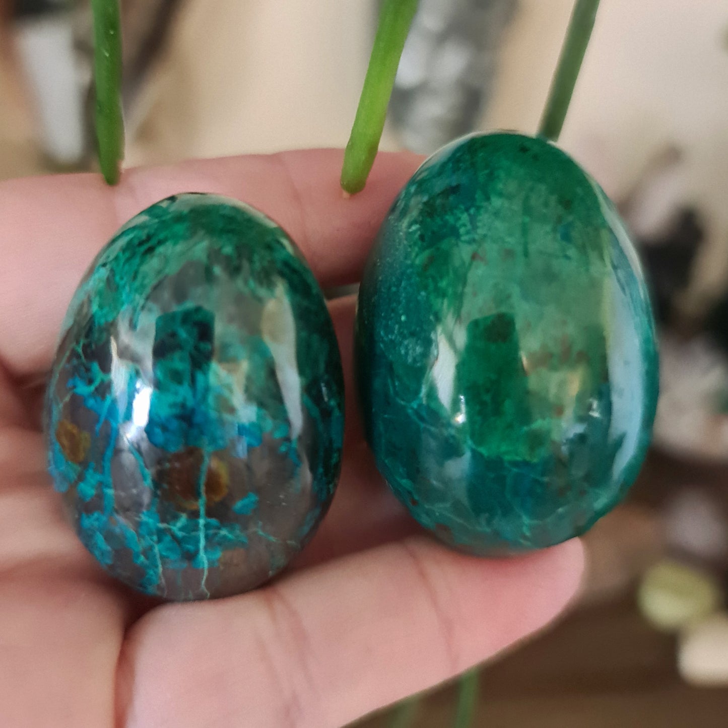 Chrysocolla Egg