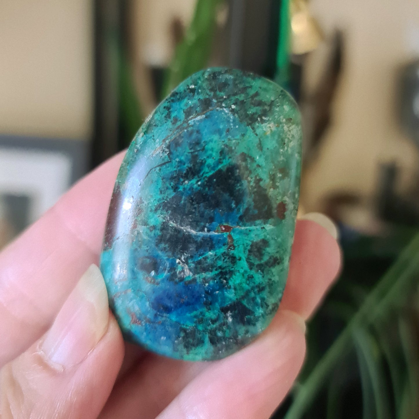 Chrysocolla Palm