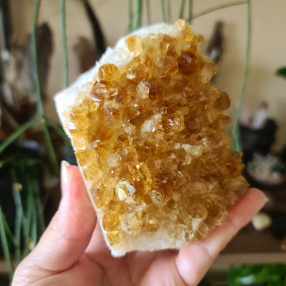 Citrine Cluster - Large