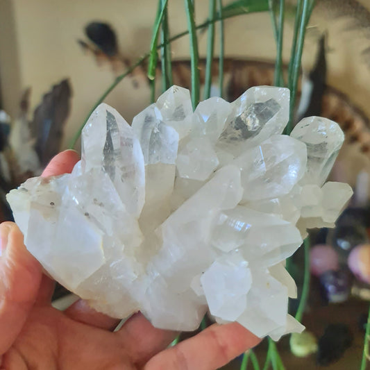 A hand holding a clear quartz crystal cluster with multiple facets.
