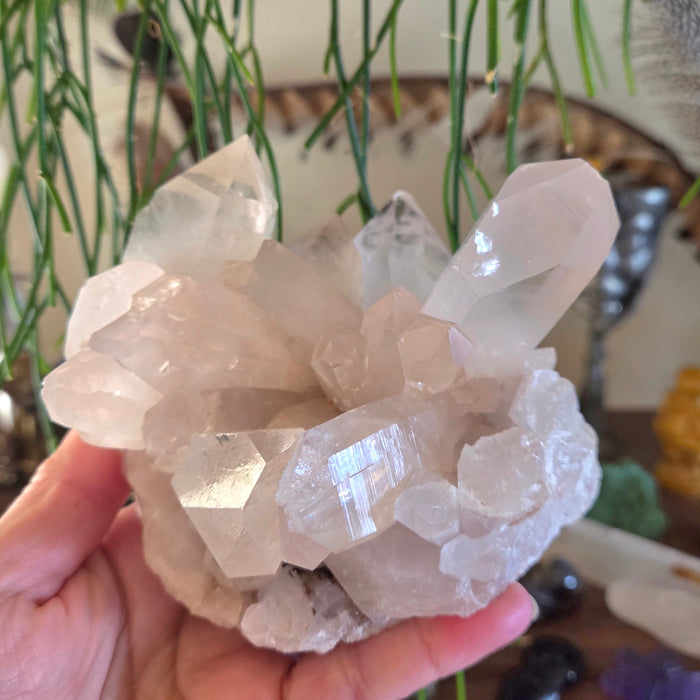 Clear crystal cluster held in a hand with a blurred natural background