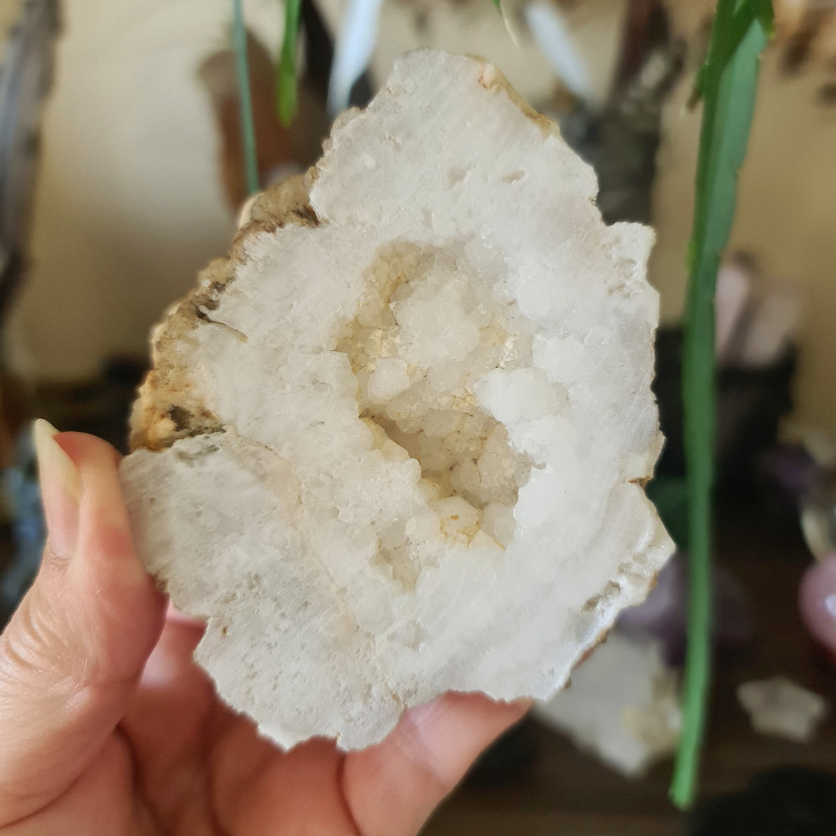 A hand holding a clear quartz geode with a crystalline pattern.
