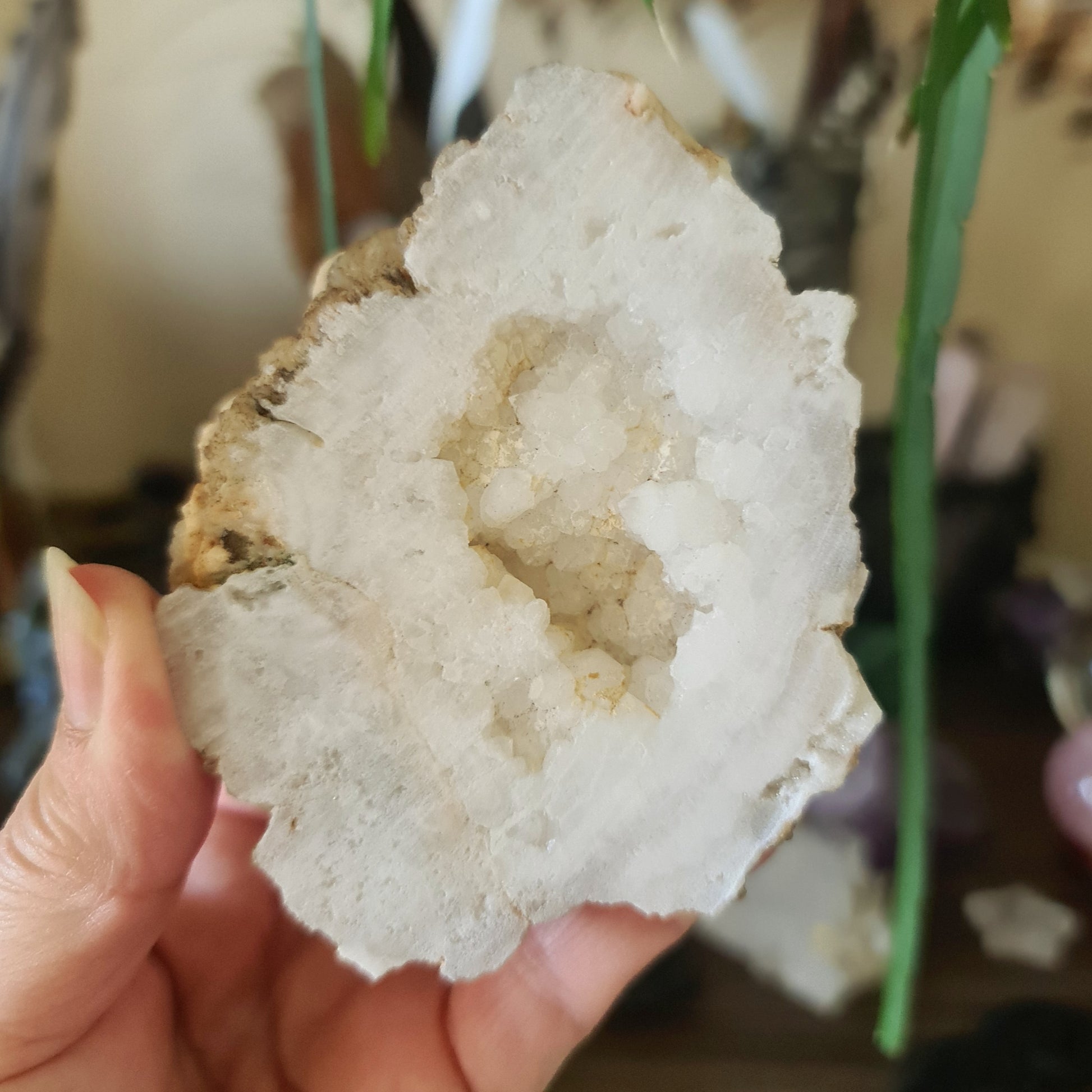 A hand holding a clear quartz geode with a crystalline pattern.
