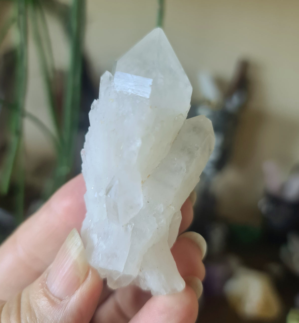 A hand holding a clear quartz crystal point with a single termination.