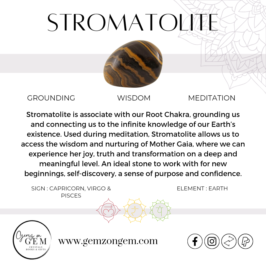 Stromatolite Bracelet