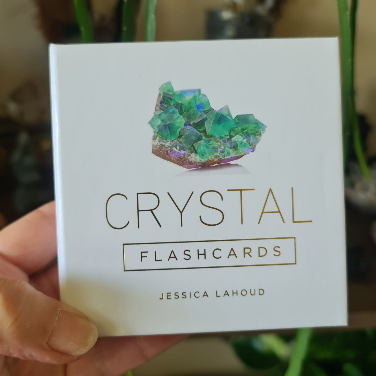 white box with crystal logo in a hand
