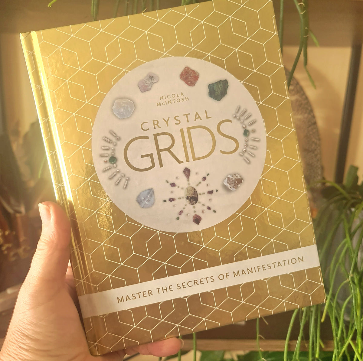 A hand holding a book titled 'Crystal Grids' by Nicola McIntosh, which features a geometric pattern and photographs of crystals on the cover.