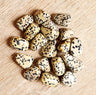 Dalmatian Jasper Tumbles