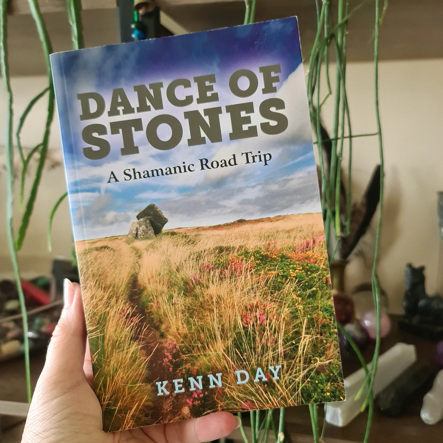 Dance Of Stones - A Shamanic Road Trip