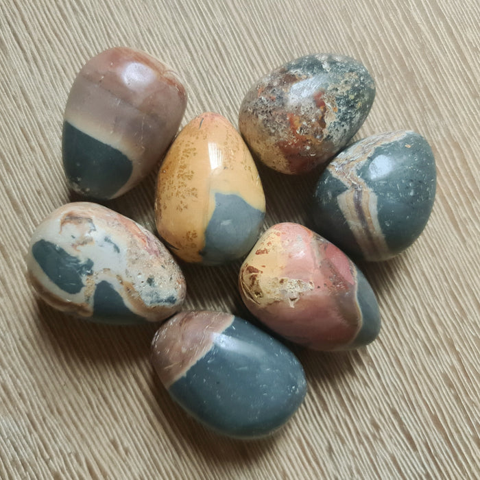 Daud Jasper Egg