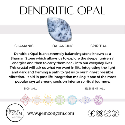 Dendritic Opal Moon