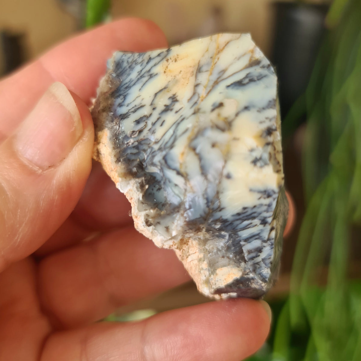 cream and navy striped opal crystal held by a hand